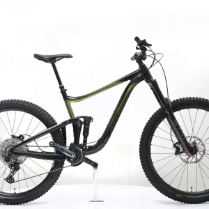 GIANT Reign 2 2021 T.L