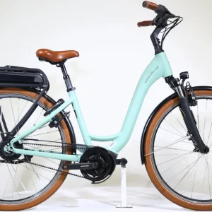 RIESE&MÜLLER Swing Vario 2023 T.46 253657