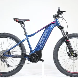 GIANT LIV Vall-E+3 Power 2019 T.S 245765