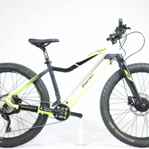 BH Bigbud 2019 T.M 244506