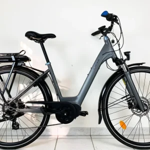 GITANE Organ E-Central Gris 2022 L