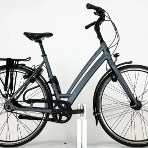 GAZELLE Chamonix S8 2021