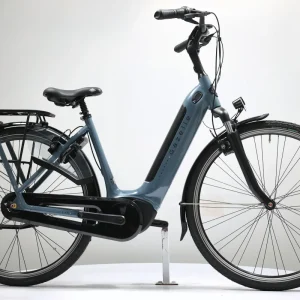 Gazelle Arroyo C7+ Elite 2023 T.L