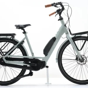 GAZELLE BLOOM C7 2022 T.53