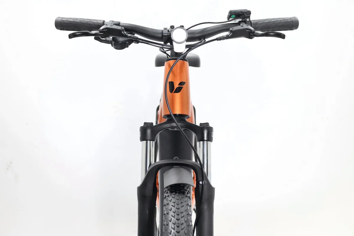 LIV Amiti E+ 2 2023 T.S – Image 5